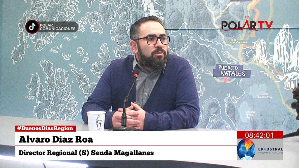 dirsendamagallanes dirsendamagallanes