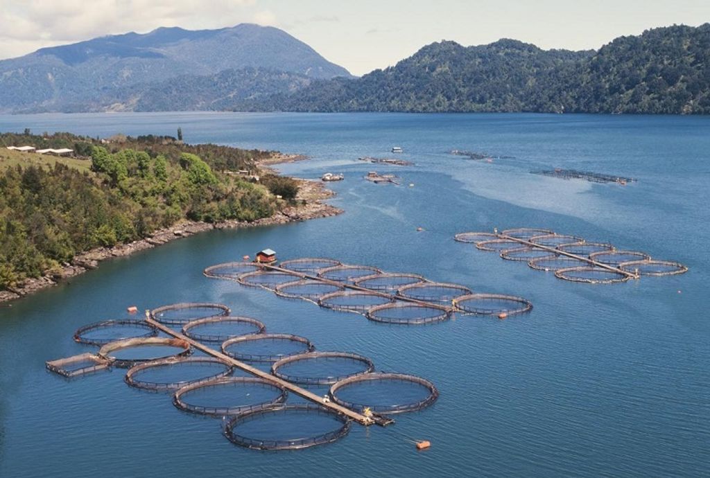 areas-protegidas-patagonia-chilena areas-protegidas-patagonia-chilena