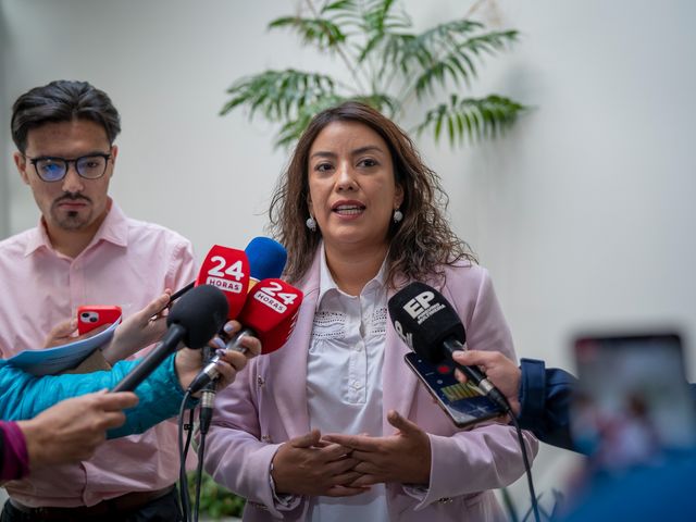 DPR Ericka Farías_Combustibles