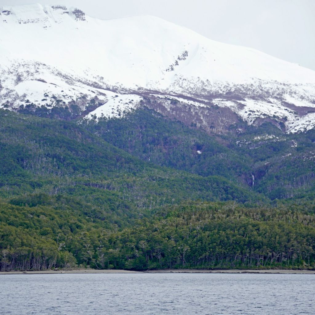 IMG-20250107-WA0041 IMG-20250107-WA0041