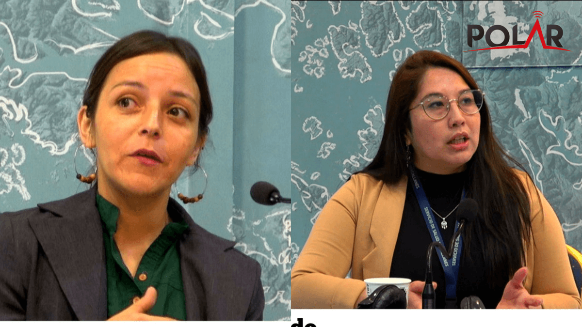 programacalle programacalle