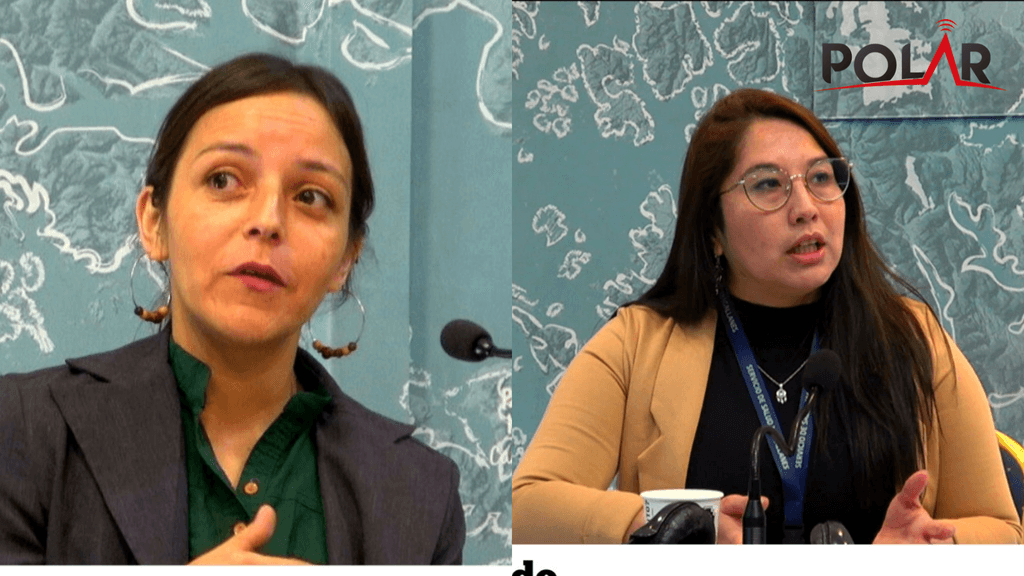 programacalle programacalle