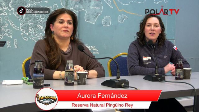 patagonia on tour aurora fernandez pinguino rey
