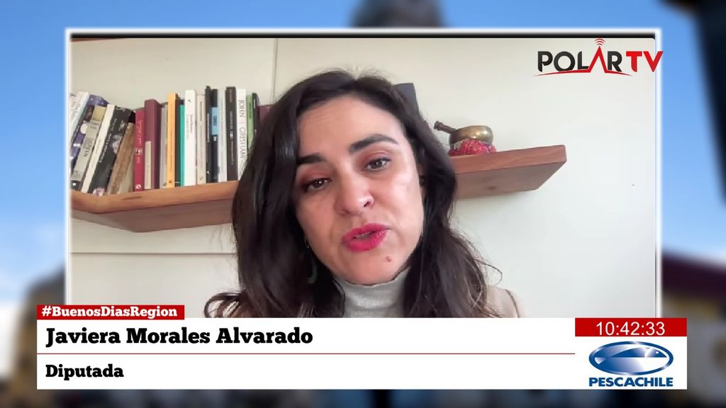 diputadamorales diputadamorales