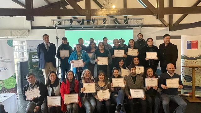 Certificación Punta Arenas