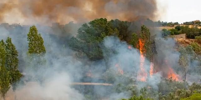 Antonio Macías en iStock
