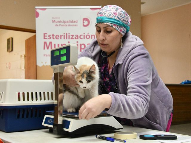 ESTERILIZACIÓN 7 ESTERILIZACIÓN 7