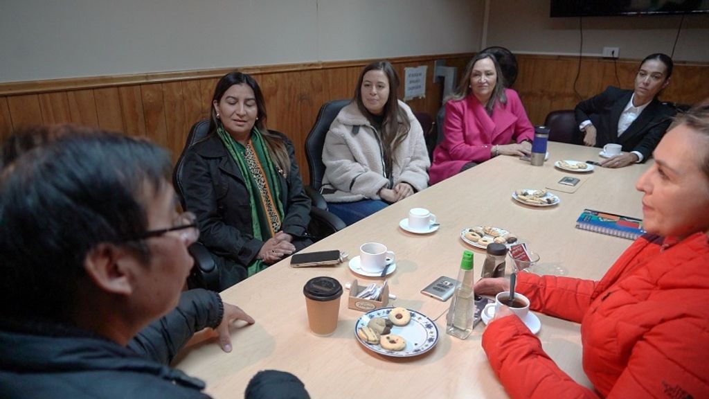 DIRECTORES 6 DIRECTORES 6