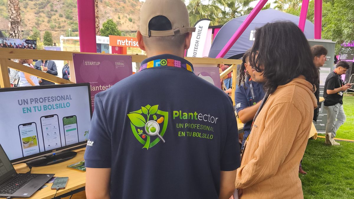 ESTUDIANTE MAGALLÁNICO IMPULSA APP CON INTELIGENCIA ARTIFICIAL PARA DETECTAR ENFERMEDADES EN CULTIVOS