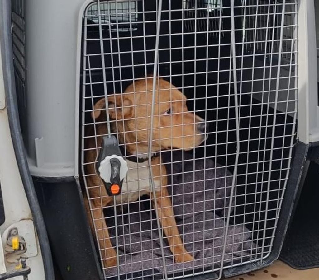 70664f95-dd36-4769-8945-a1a2a1febf85 70664f95-dd36-4769-8945-a1a2a1febf85