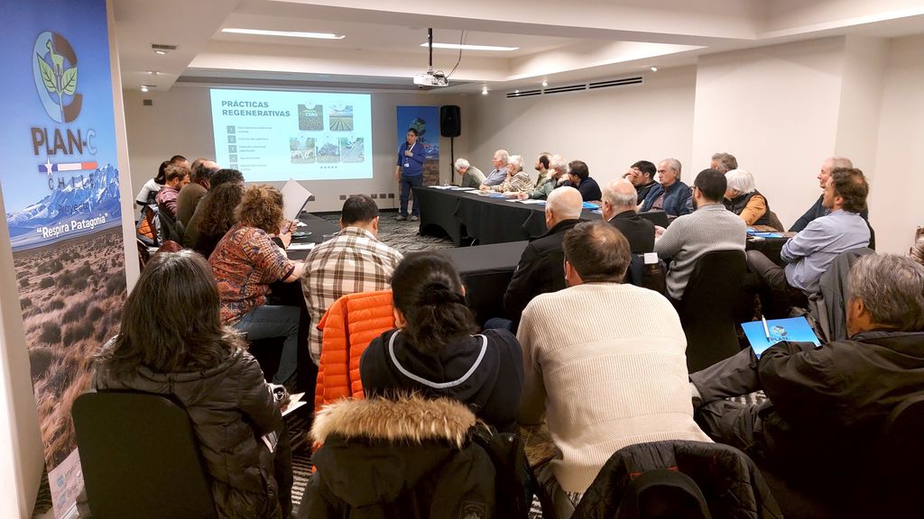 ganaderosmagallanes ganaderosmagallanes