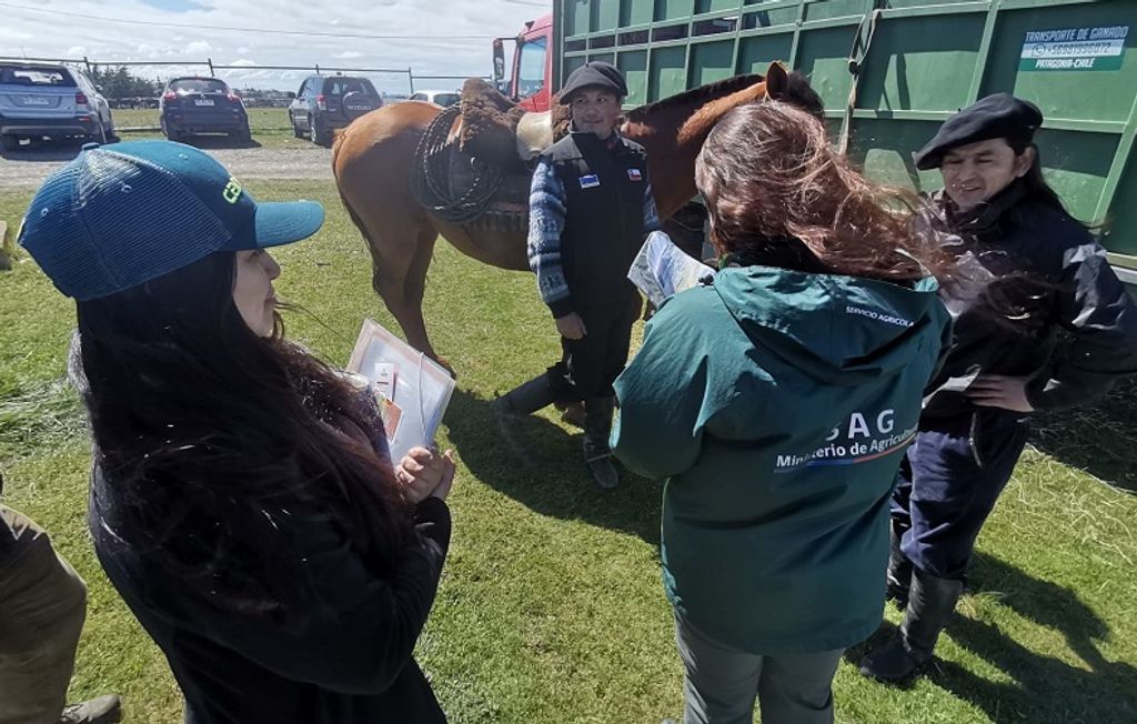 IMG-20241114-WA0051 IMG-20241114-WA0051