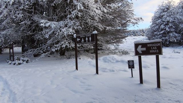 reservamagallanes reservamagallanes