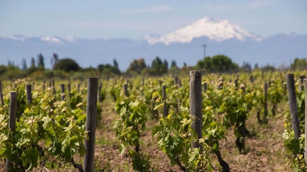 597171149_1163773182537664_5110013883091994453_n 597171149_1163773182537664_5110013883091994453_n