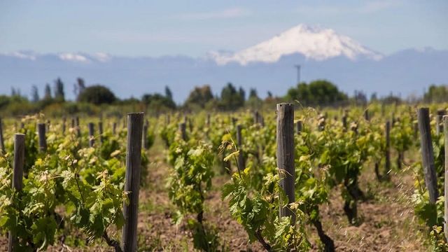 597171149_1163773182537664_5110013883091994453_n