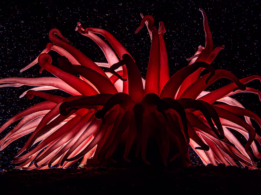 KK4VNZYTZJC5XPFAB4ICAPOR2M KK4VNZYTZJC5XPFAB4ICAPOR2M