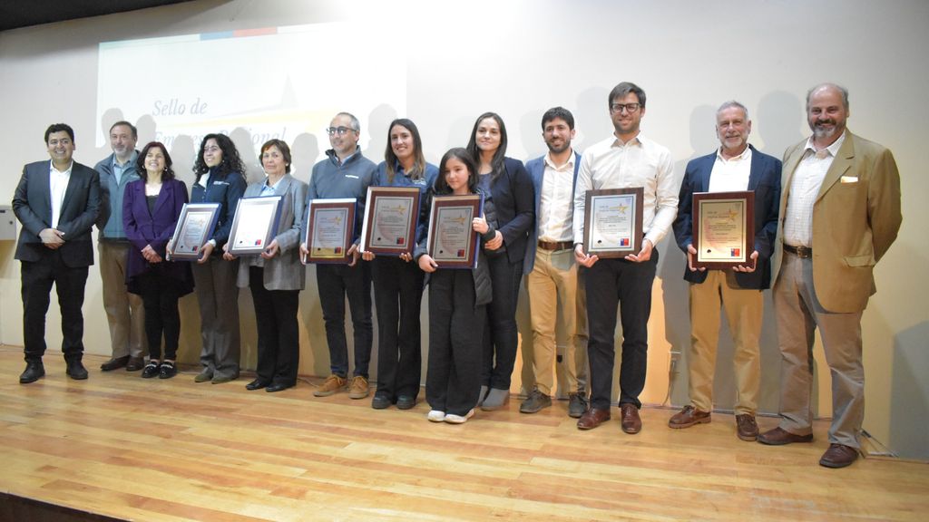 WhatsApp Image 2025-01-15 at 14 WhatsApp Image 2025-01-15 at 14