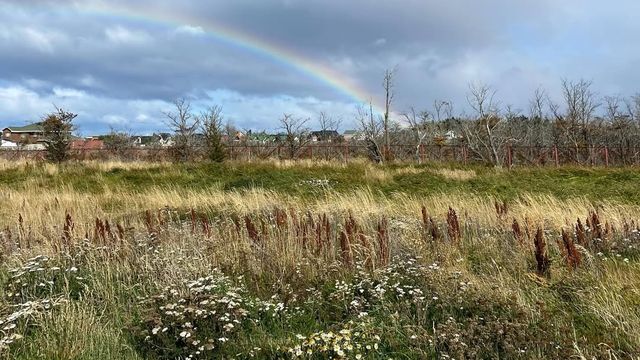 Humedal Aonikenk Humedal Aonikenk
