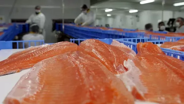 exportaciones-salmones-e1697576451781-768x433 exportaciones-salmones-e1697576451781-768x433