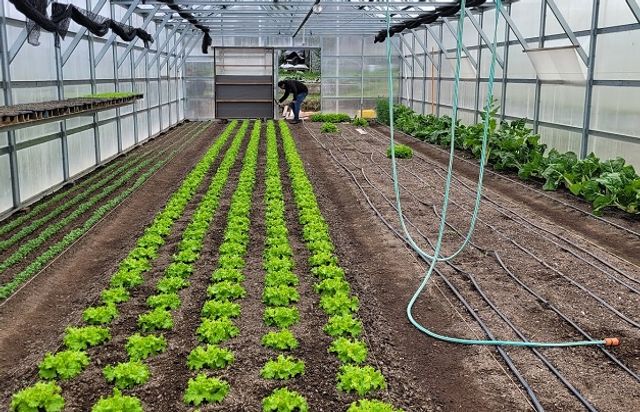 super invernadero super invernadero