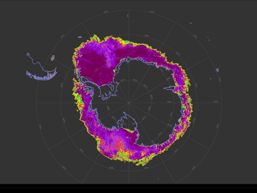 Polar View Polar View