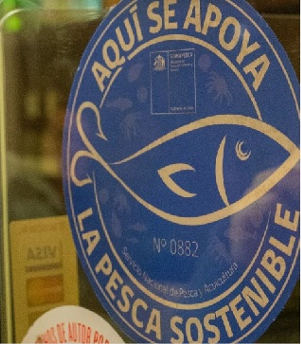 Sin título Sin título