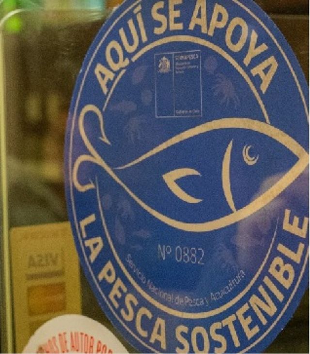 Sin título Sin título