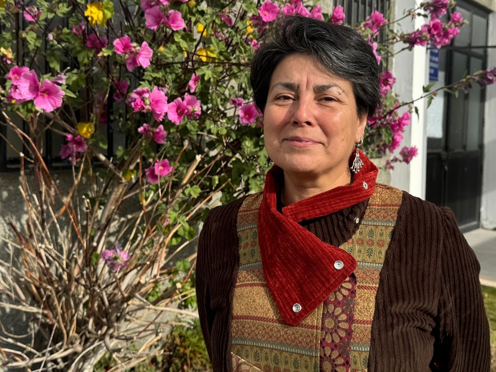 Seremi Verónica Vallejos Seremi Verónica Vallejos
