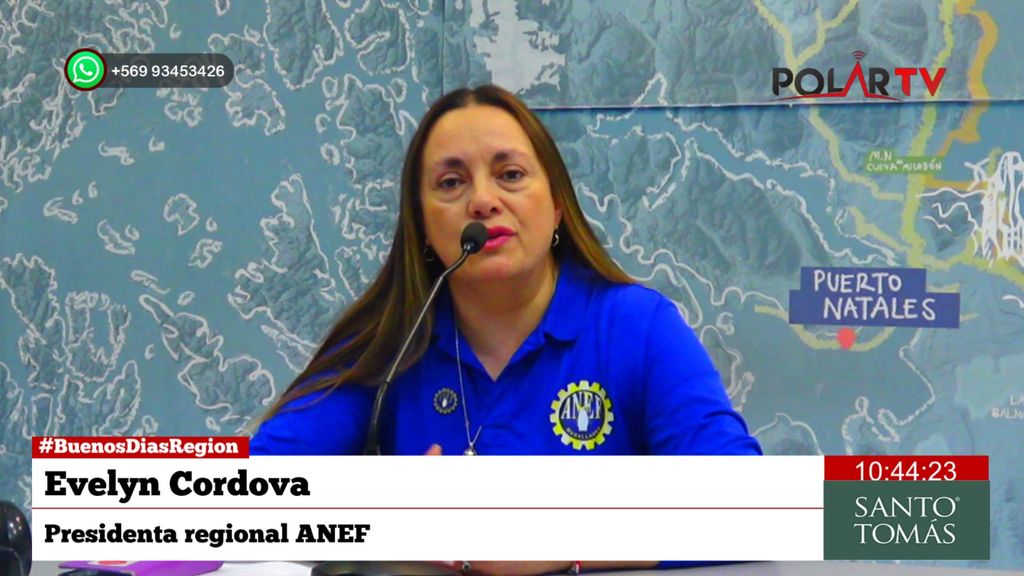 pftaanefmagallanes pftaanefmagallanes