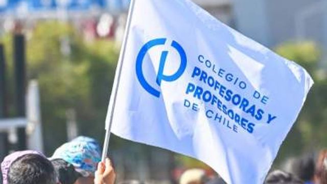 colegio de profesores