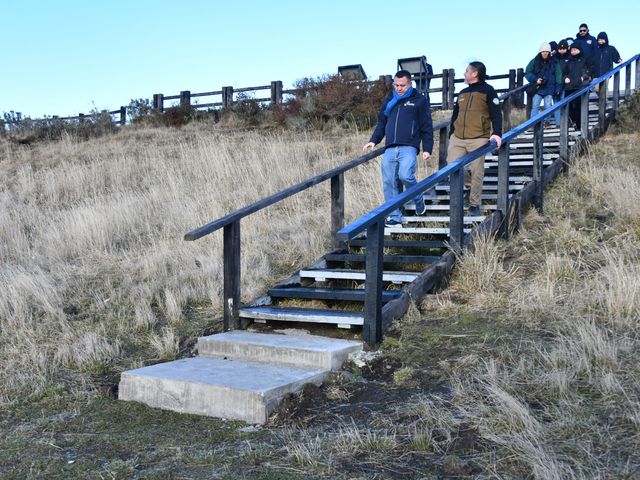 CN 8