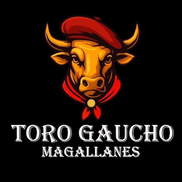 banner toro gaucho banner toro gaucho