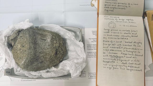 Notebook-and-fossil Notebook-and-fossil