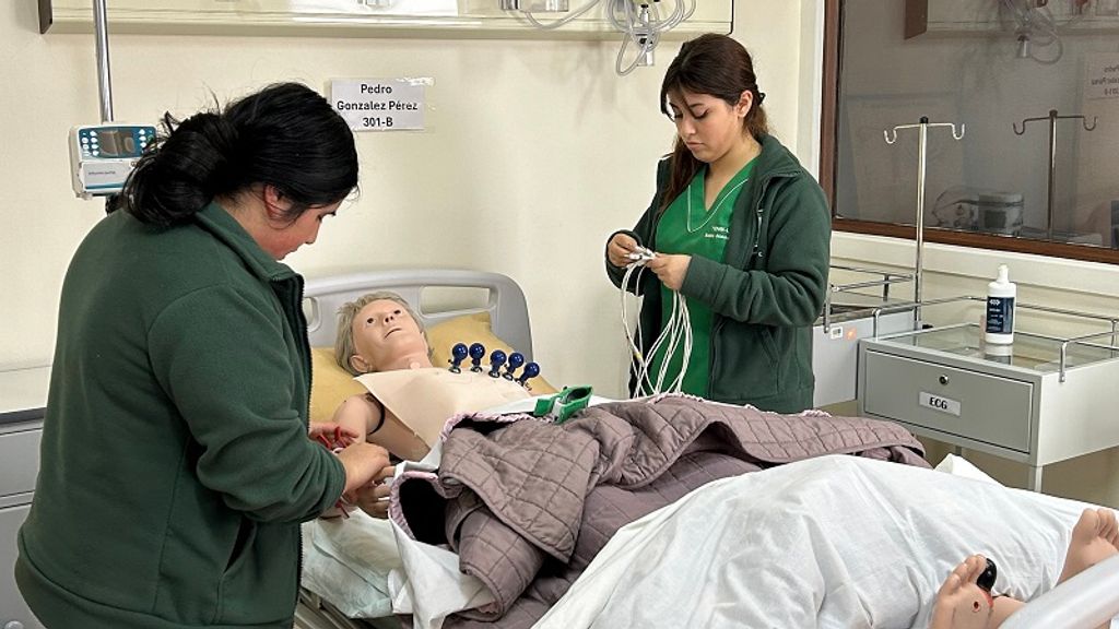 IMG_5142 (1) IMG_5142 (1)