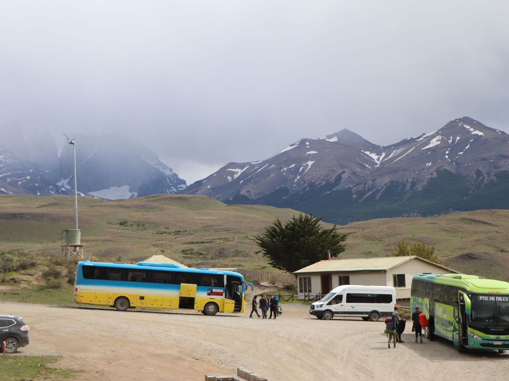 llegada turistas a PNTP llegada turistas a PNTP