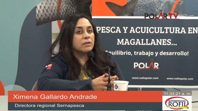 sernapescamagallanes