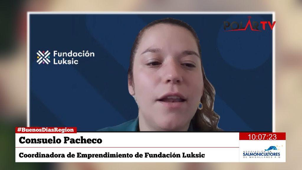 fundacionluksic fundacionluksic