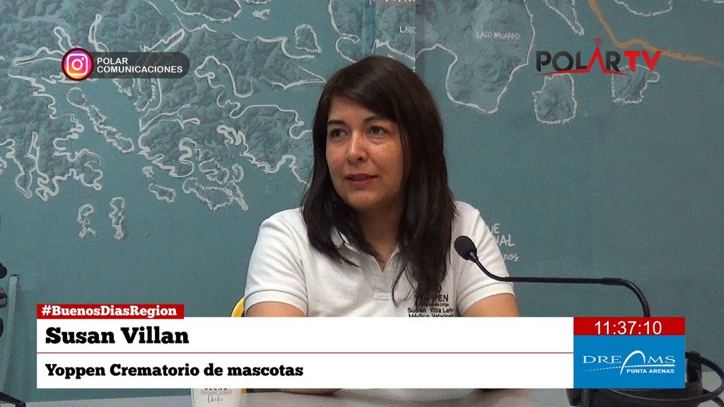 Imagen de WhatsApp 2024-11-29 a las 11 Imagen de WhatsApp 2024-11-29 a las 11