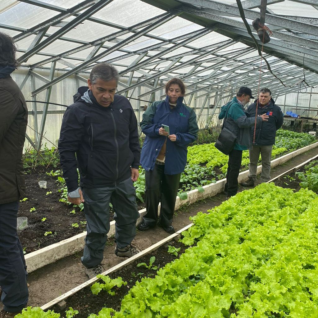 invernade_(4) invernade_(4)