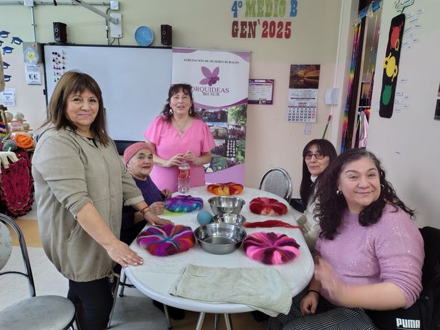 taller de fieltro alta aceptación taller de fieltro alta aceptación