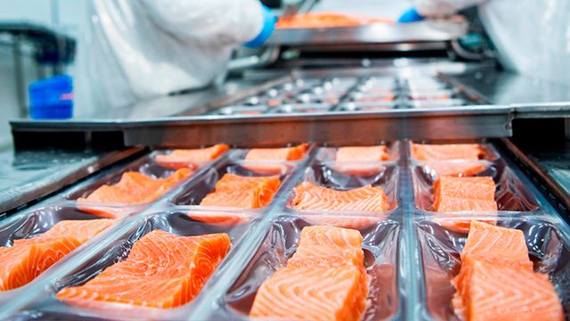 file_20250712114814 file_20250712114814