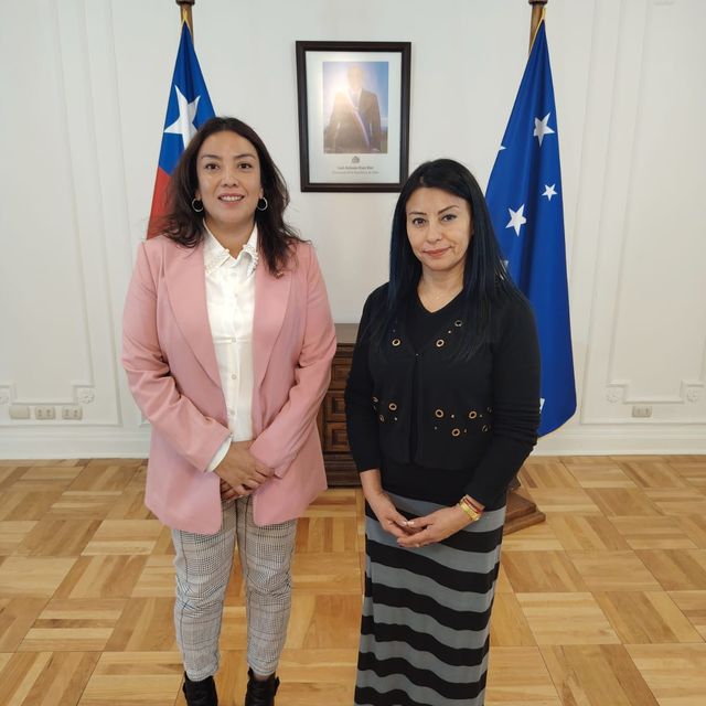 colegioprofesoresdpp