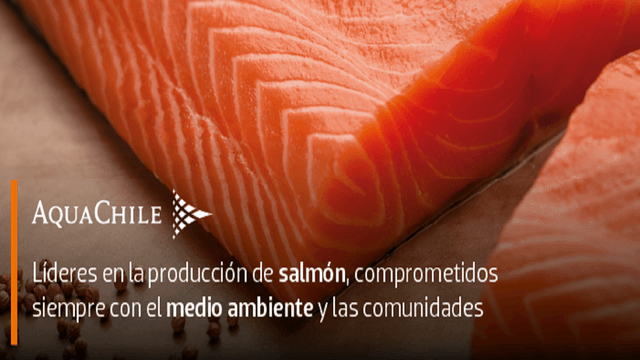 AQUA CHILE 1920X1080