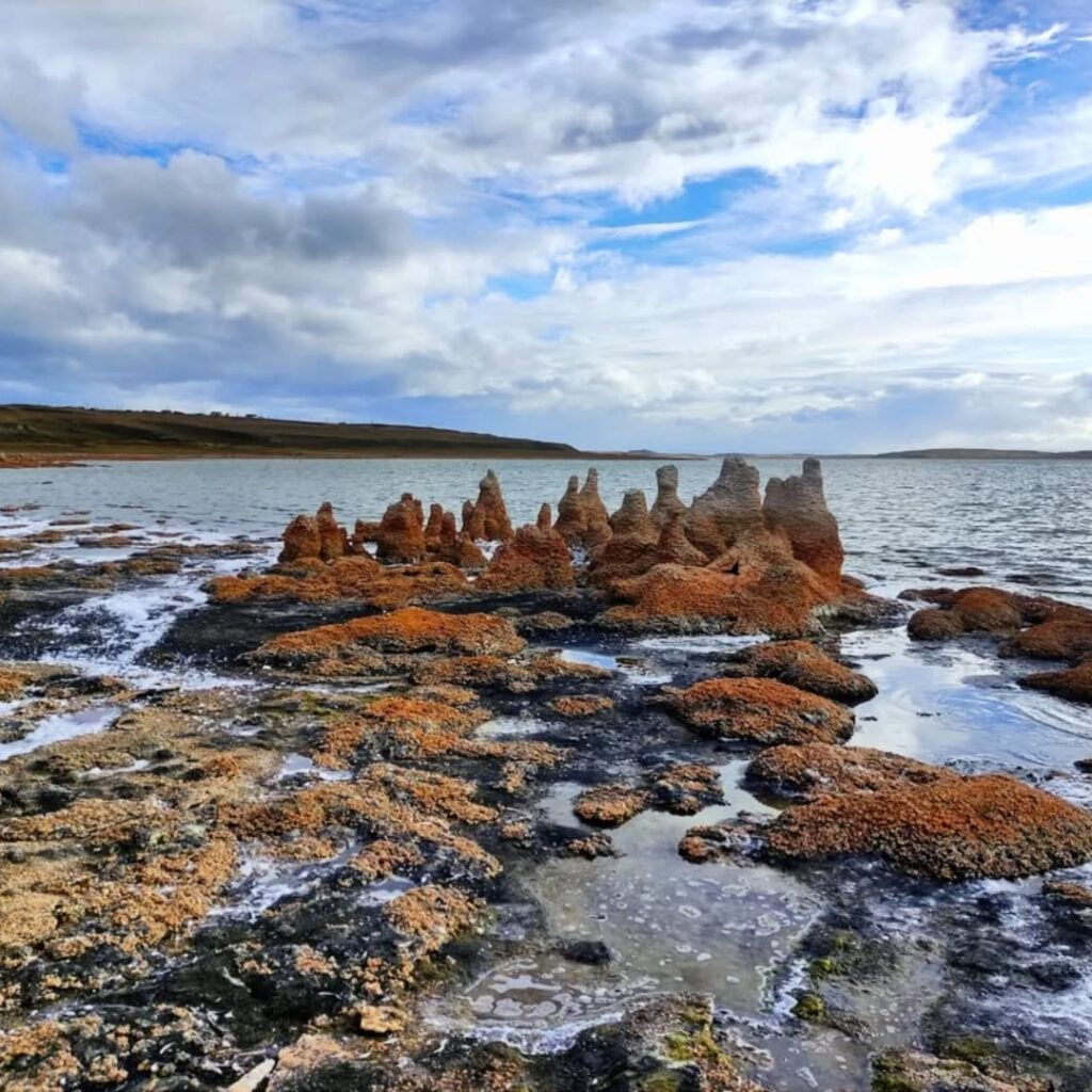 estromatolitos estromatolitos