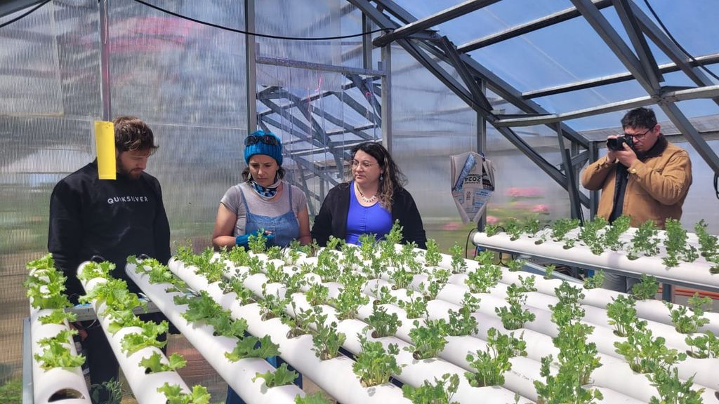 riegomujeresmag riegomujeresmag