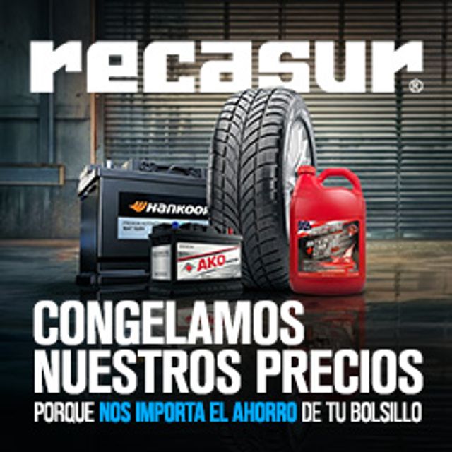 RECASUR CONGELADOS BATERIA RUEDAS REFRIGERANTES