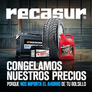 RECASUR CONGELADOS BATERIA RUEDAS REFRIGERANTES