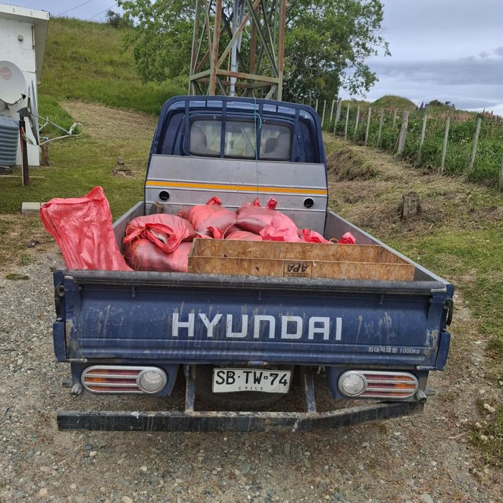 Imagen de WhatsApp 2024-12-09 a las 09 Imagen de WhatsApp 2024-12-09 a las 09