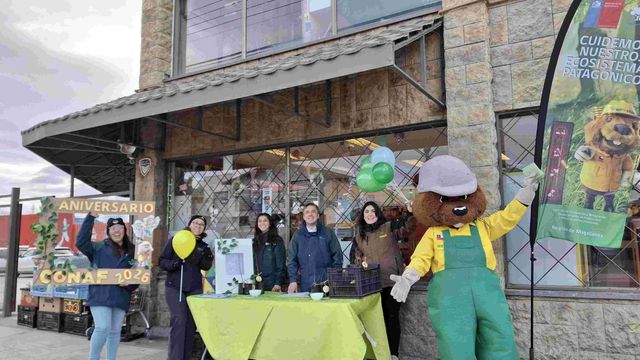 Forestín actividad en Natales Forestín actividad en Natales
