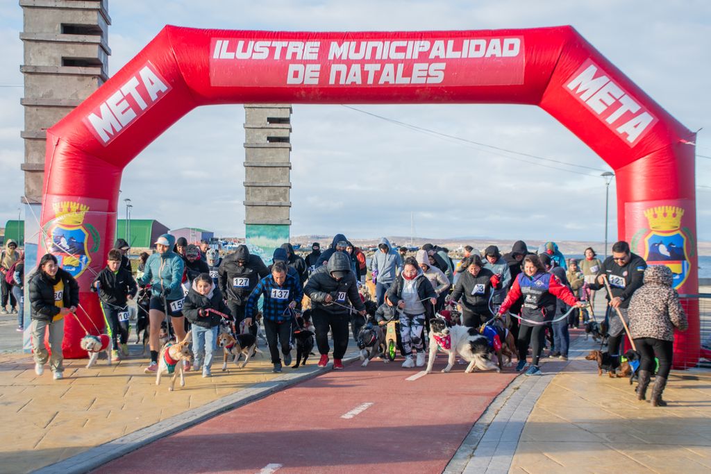 441868225_480891977605664_8302372490229671927_n (1) 441868225_480891977605664_8302372490229671927_n (1)